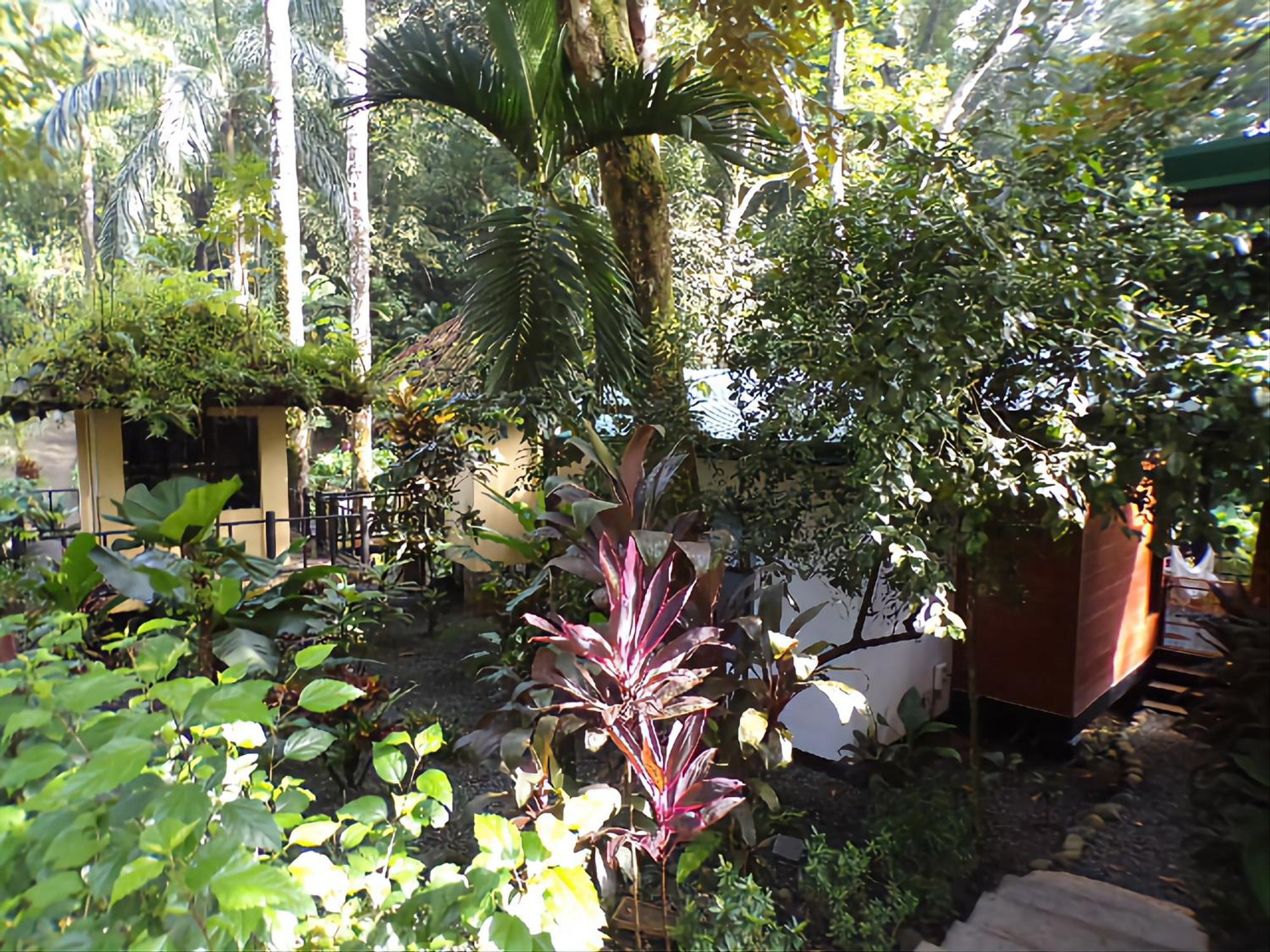Riverside Villas Manuel Antonio Exterior foto